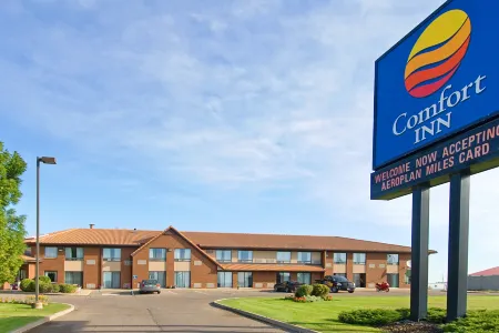 Comfort Inn Отели в г. Брандон