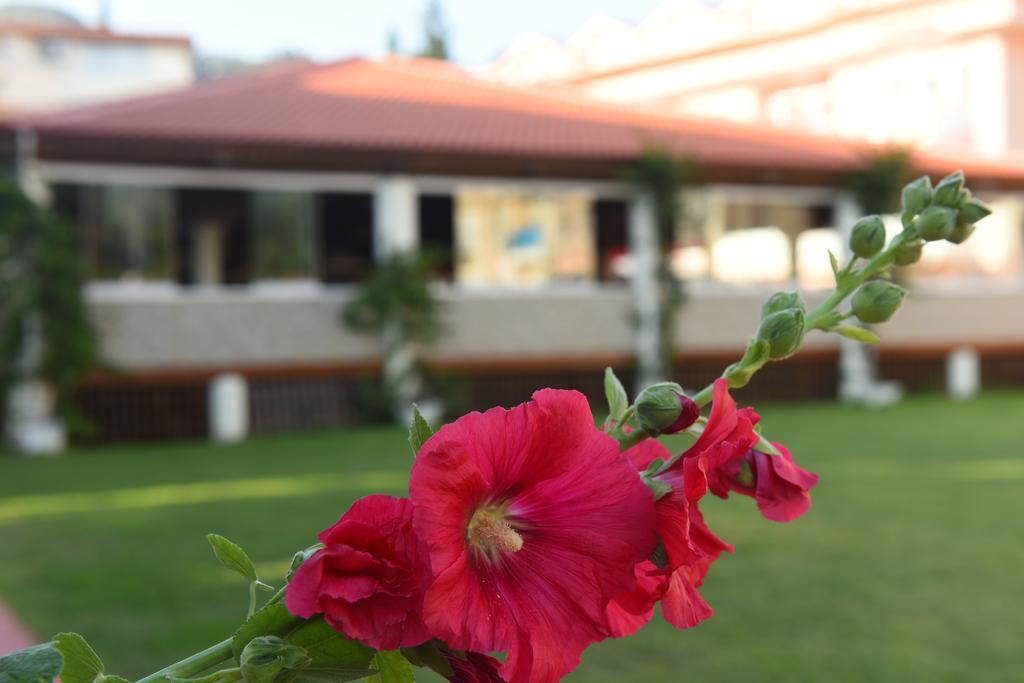 Oludeniz Turquoise Hotel