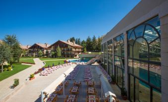 InterContinental Hotels Mzaar (Mountain Resort & Spa)