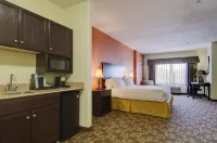 Holiday Inn Express & Suites Kansas City Sport Complex Area Hôtels à proximité de : Arrowhead Stadium