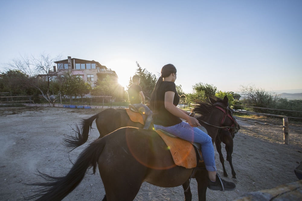 Karlık Evi Hotel - Special Category