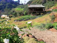 Mori Natural Farm