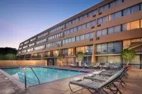 Hotel Dena, Pasadena Los Angeles, a Tribute Portfolio Hotel - Pools