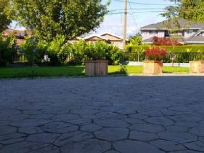 Spacious 2 Bedroom Suite in Burnaby Free Parking, Full Kitchen, Near Transit