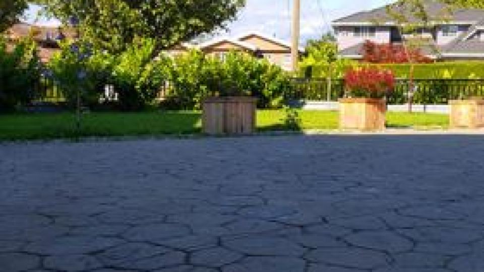 Spacious 2 Bedroom Suite in Burnaby Free Parking, Full Kitchen, Near Transit