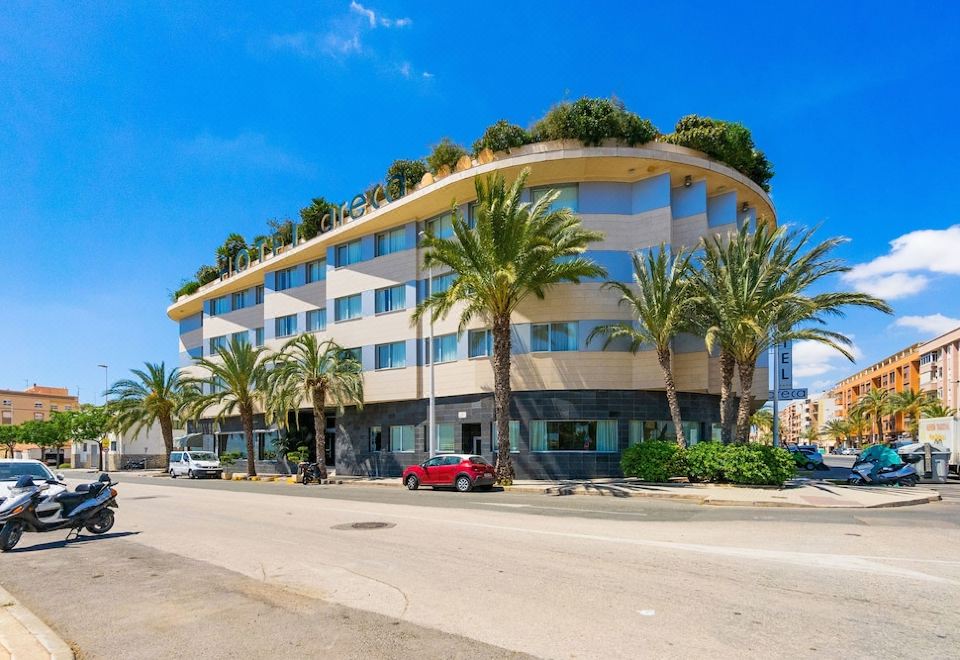 a modern , curved building with palm trees on its roof , surrounded by cars and trees on the street at Hotel Areca