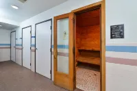 Americas Best Value Inn Birch Run - spa