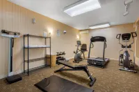 Quality Inn & Suites 5585 Ambler Drive Mississauga Ontario - palestra