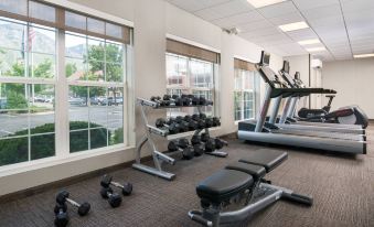 a well - equipped gym with various exercise equipment , including weight machines and treadmills , near large windows that offer views of the outside at Residence Inn Provo North