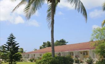 a large palm tree stands in front of a house , surrounded by lush green grass and flowers at Anegada Reef Hotel