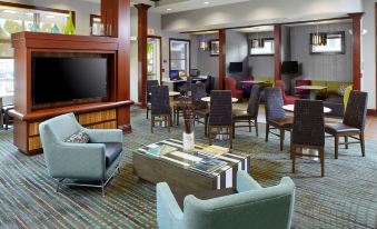 Residence Inn Tampa Suncoast Parkway at NorthPointe Village