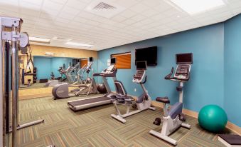 Holiday Inn Express & Suites Bradenton East-Lakewood Ranch