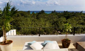 Hotel la Semilla a Member of Design Hotels