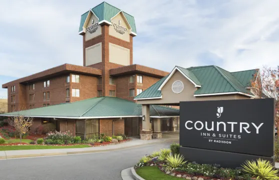 亞特蘭大廣場棒球場麗怡酒店