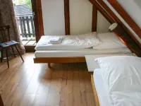 Eule - 3-Star