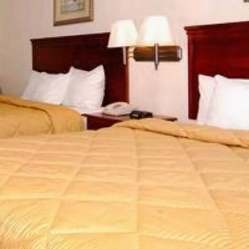 Comfort Inn & Suites San Antonio Airport