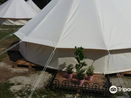 Canopy Tribes Kota Tinggi Room Reviews Photos Kota Tinggi 2021 Deals Price Trip Com