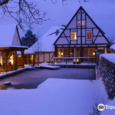 Spa-Resort Landlust in Dresden Отели рядом с достопримечательностью «Коссебауде»
