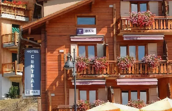 威爾比耶爾中央酒店