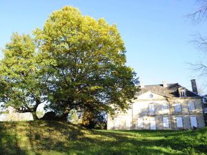 Vintage Mansion in Saint Aubin Sur Loire with Pool