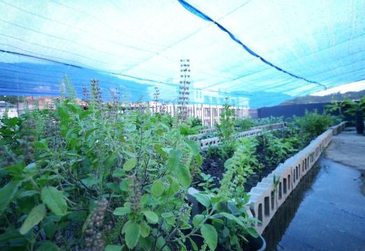 The Lantern Resorts Patong Hotel Overview