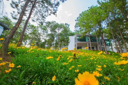 Terracotta Hotel & Resort Dalat