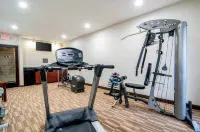 Spark by Hilton Ann Arbor South - نادي رياضي
