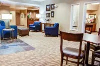 Quality Inn Florence Hotels in Florence