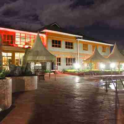 Masada Resort Others