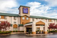wingate by wyndham owensboro Hotels near Sassafras Tree
