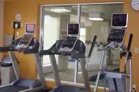 Hilton Garden Inn Toronto/Mississauga