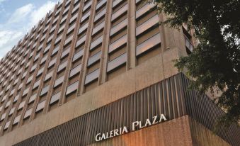 Galeria Plaza Reforma