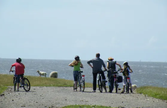 瓦克法蘭克爾酒店