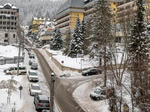 綠德魯伊陽光和雪公寓酒店