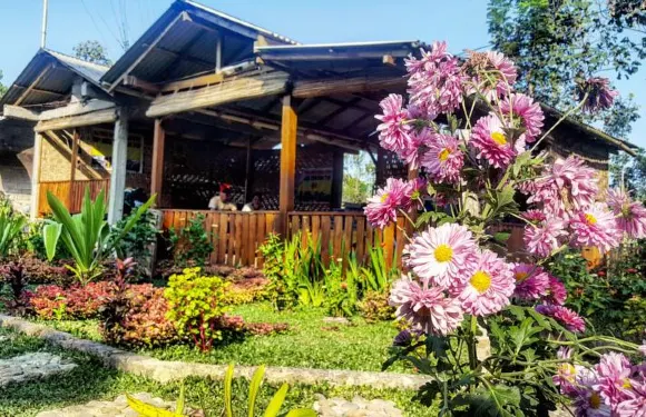 伊真火山礦工之家民宿