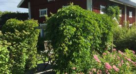 Torpgården Önnerudsvägen 56