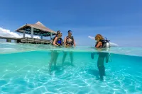 Sheraton Maldives Full Moon Resort & Spa Hotels near Lankanfushi