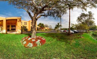 Courtyard Bradenton Sarasota/Riverfront