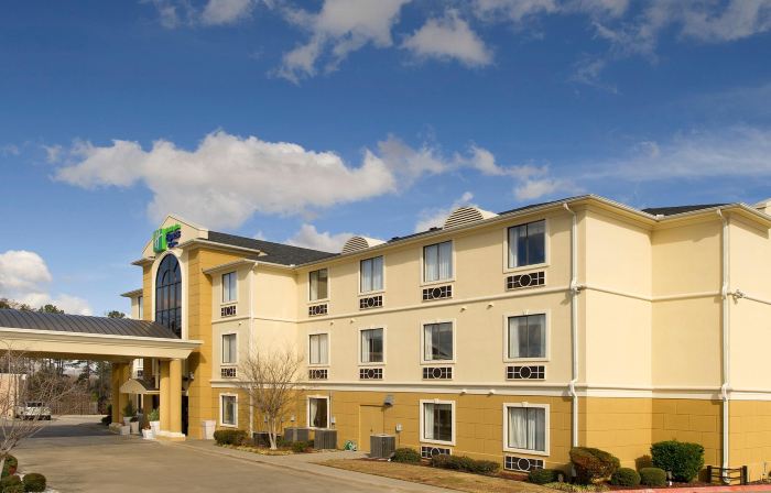 Holiday Inn Express & Suites MOUNT PLEASANT by IHG