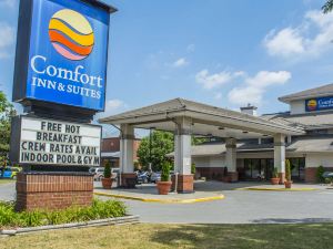 Comfort Inn & Suites Ambassador Bridge