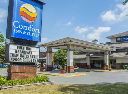 Comfort Inn & Suites Ambassador Bridge