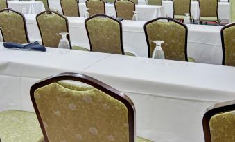 Holiday Inn & Suites Anaheim (1 Blk/Disneyland®)