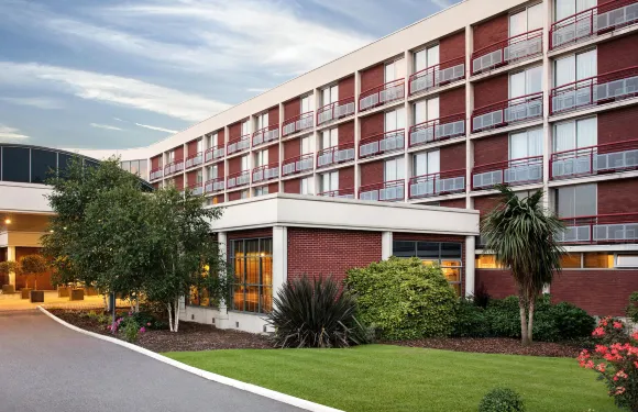 希爾頓皇冠假日酒店-希思羅機場-IHG旗下