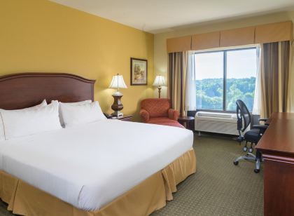 Holiday Inn Express & Suites Lexington NW-The Vineyard