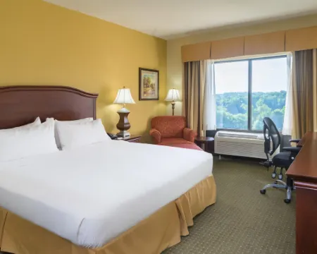Holiday Inn Express & Suites LEXINGTON NW-THE VINEYARD by IHG Hotels in Davidson County