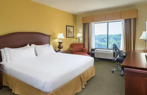 智選假日套房酒店列剋星敦的NW -葡萄園