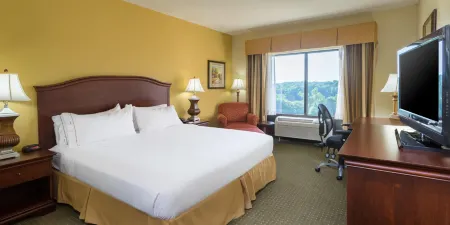 Holiday Inn Express & Suites Lexington NW-The Vineyard