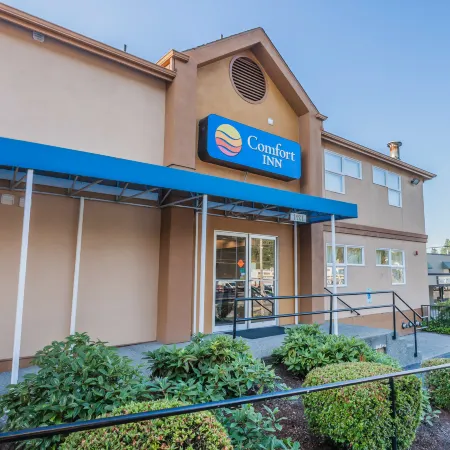 Comfort Inn on the Bay