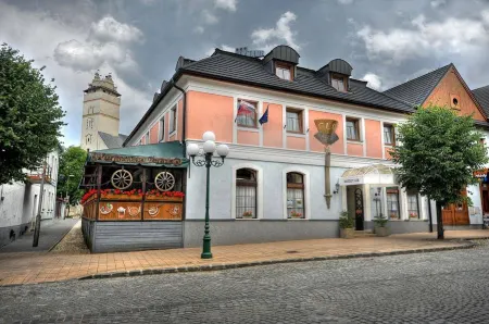 Hotel Club Отели в г. Вељка Ломњица