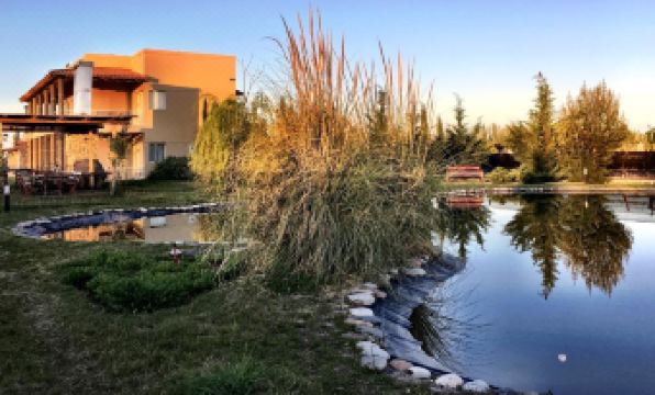 Chaglasian Wine & Suites - Housity